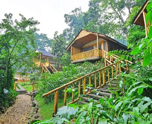 Buhoma-Lodge-Rooms-Outside-Wild-Frontiers-800x600